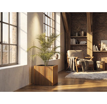 Quadratischer Pflanzkübel aus Holzlamellen mit einer Zimmerpflanze in einem hellen Wohnraum mit Backsteinwand und großen Fenstern.