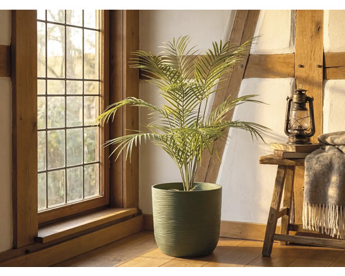 Künstliche Palme in einem grünen strukturierten Topf in einem hellen, rustikalen Raum mit Holzbalken, einem Fenster und einem Hocker mit Laterne.