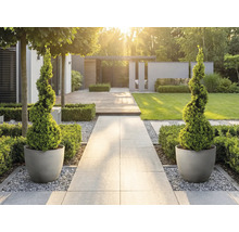 Moderner, heller Garten mit Steinweg, spiralförmigen Formgehölzen in runden Töpfen, Holzdeck und Rasenfläche.