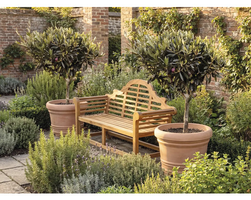 Gartenbank aus Holz zwischen zwei Olivenbäumen in Terrakotta-Töpfen auf einer Terrasse mit Natursteinplatten und einer Backsteinmauer im Hintergrund.