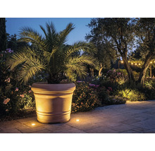 Großer Terrakotta-Blumentopf mit Palme in einem beleuchteten mediterranen Garten mit gepflastertem Weg und Pflanzen bei Nacht.