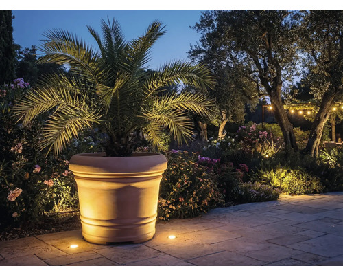 Großer Terrakotta-Blumentopf mit Palme in einem beleuchteten mediterranen Garten mit gepflastertem Weg und Pflanzen bei Nacht.