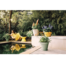 Frau im gelben Kleid auf einem Holzdeck am Pool, umgeben von verschiedenen Blumentöpfen und üppigen Pflanzen in einem hellen Garten.