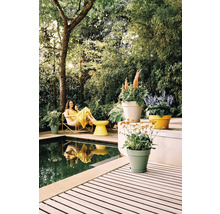 Helle Gartenszene mit Holzdeck, Pool und Gartenmöbeln. Bunte Pflanzgefäße mit blühenden Pflanzen stehen auf der Terrasse vor dichtem Grün.