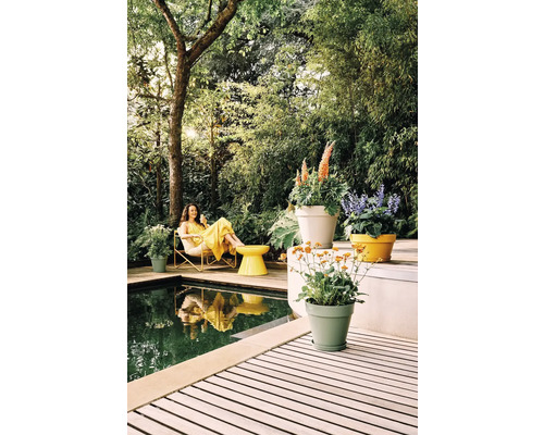 Helle Gartenszene mit Holzdeck, Pool und Gartenmöbeln. Bunte Pflanzgefäße mit blühenden Pflanzen stehen auf der Terrasse vor dichtem Grün.