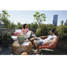 Entspannte Dachterrasse mit Loungemöbeln, einem Flechttisch aus Rattan und verschiedenen Topfpflanzen vor einer städtischen Skyline.