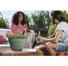 Zwei Personen sitzen auf einer Terrasse an einem runden Rattantisch mit einem hellgrünen Blumentopf mit Sukkulenten vor grüner Gartenkulisse.