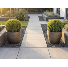 Moderner Gartenweg aus hellen Steinplatten, flankiert von zwei großen, geriffelten Pflanzgefäßen mit kugelförmig geschnittenen Buchsbäumen.