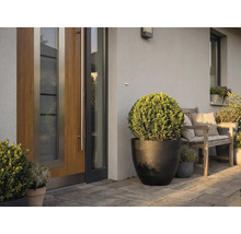 Moderner Eingangsbereich mit einer Holztür, einem großen schwarzen Pflanzkübel mit Buchsbaumkugel und einer Holzbank auf einer gepflasterten Terrasse.