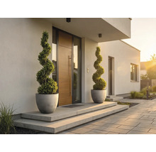 Moderner Hauseingang mit Holztür, zwei spiralförmigen Buchsbäumen in grauen Pflanzgefäßen auf Betonstufen und gepflastertem Weg.