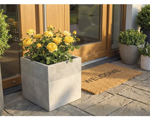 Quadratischer Pflanzkübel in Betonoptik mit gelben Rosen an einem Hauseingang neben einer Welcome-Fußmatte auf Steinfliesen.