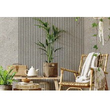 Modern gestalteter Wohnraum mit Akustikpaneelen, Wand in Steinoptik, Zimmerpflanzen und einem Sessel aus Rattan.