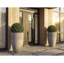 Moderner Eingangsbereich mit zwei hohen grauen Pflanzgefäßen aus Betonoptik, bestückt mit runden Buchsbaumkugeln vor einer Holzfassade.