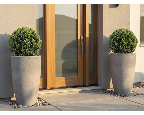 Zwei hohe graue Pflanzgefäße mit Buchsbaumkugeln vor einer modernen Eingangstür aus Holz und Glas.