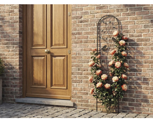 Rankgitter aus Metall mit Vogel- und Blattmotiven, bewachsen mit Kletterrosen an einer Mauer aus Ziegelsteinen neben einer Holztür.