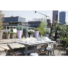 Helle Dachterrasse mit gedecktem Gartentisch, Klappstühlen, Holzsitzbank und diversen Pflanzentöpfen vor einer städtischen Kulisse.