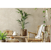 Tapete in Steinoptik an einer Wand in einem hellen Wohnraum mit einem Rattanstuhl, einer Decke und Zimmerpflanzen auf einer Holzbank.