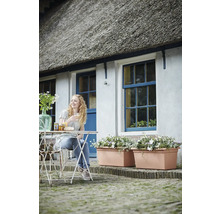 Gartenbereich vor einem Reetdachhaus mit weißen Wänden, blauen Fenstern, großen terrakottafarbenen Blumenkästen und einer Frau am Bistrotisch.