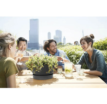 Dunkelgraue Pflanzschale mit Untersetzer auf Holztisch, im Hintergrund Freunde auf einer sonnigen Dachterrasse mit Skyline.