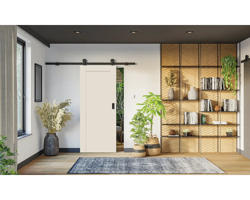 Modernes helles Zimmer mit weißer Schiebetür an schwarzer Laufschiene, Holzregal, Zimmerpflanzen und gemustertem Teppich auf Holzboden.