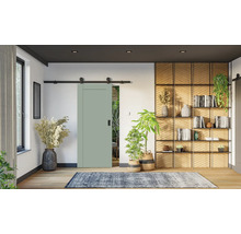 Salbeigrüne Schiebetür mit schwarzer Laufschiene in einem modernen Wohnzimmer mit Holzregalen, Zimmerpflanzen und einem gemusterten Teppich.