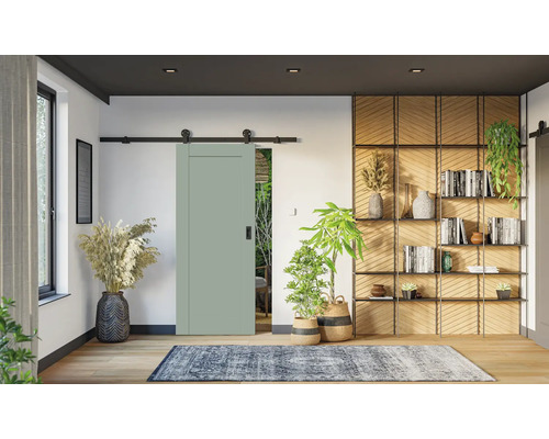 Salbeigrüne Schiebetür mit schwarzer Laufschiene in einem modernen Wohnzimmer mit Holzregalen, Zimmerpflanzen und einem gemusterten Teppich.