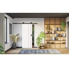 Weiße Schiebetür mit schwarzer Schiene in einem hellen Wohnraum mit Holzregal, Teppich und Zimmerpflanzen.