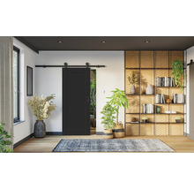 Modernes Wohnzimmer mit schwarzer Schiebetür, Holzregalen, Zimmerpflanzen und einem gemusterten Teppich auf hellem Holzboden.