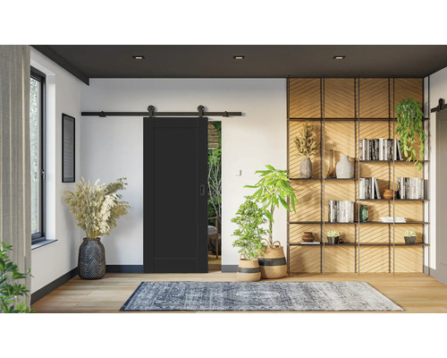 Modernes Wohnzimmer mit schwarzer Schiebetür, Holzregalen, Zimmerpflanzen und einem gemusterten Teppich auf hellem Holzboden.