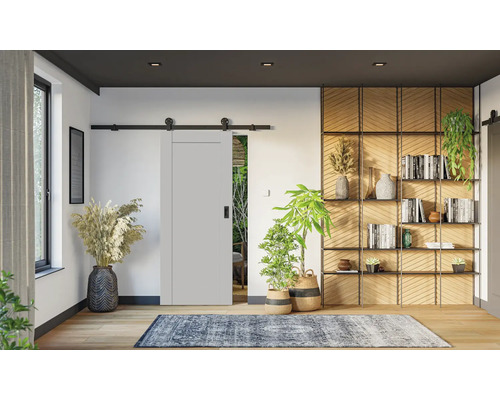 Hellgraue Schiebetür mit schwarzem Schienensystem in modernem Wohnraum mit Holzboden, Pflanzen und dekorativem Wandregal.