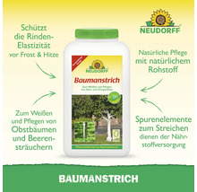 Neudorff Baumanstrich zur Pflege von Obstbäumen und Beerensträuchern, schützt die Rinde vor Frost und Hitze. Neudorff Logo.