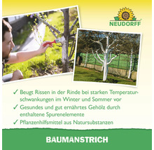 Anwendung von weißem Baumanstrich an Obstbäumen zum Schutz der Rinde vor Rissen durch Temperaturschwankungen. Neudorff Logo.