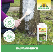 Neudorff Baumanstrich wird mit einem Pinsel auf einen Baumstamm aufgetragen. Symbole für Recycling und biologische Inhaltsstoffe, Neudorff Logo.