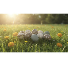 Dekorative Ostereier mit verschiedenen Mustern wie Blumen und Punkten liegen in einer sonnigen Wiese mit Gras und Blumen.