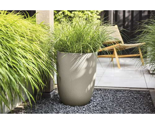 Hoher beiger Pflanzkübel mit Wellenstruktur und Ziergras auf dunklem Kies in einem hellen Garten mit Terrasse und Holzpfosten.