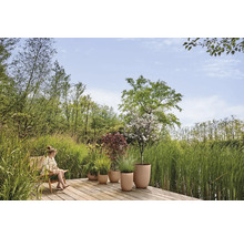 Holzterrasse am Teich mit Kind im Sessel und verschiedenen Pflanzen in runden, beigen Übertöpfen, umgeben von hohem Gras und Bäumen.