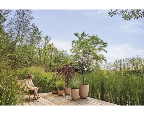Holzterrasse am Teich mit Kind im Sessel und verschiedenen Pflanzen in runden, beigen Übertöpfen, umgeben von hohem Gras und Bäumen.