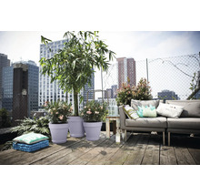 Moderner Dachgarten mit Lounge-Sofa und Pflanzkübeln mit Bambus und Oleander auf Holzdielen vor einer städtischen Skyline.