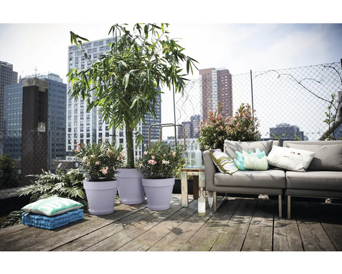 Moderner Dachgarten mit Lounge-Sofa und Pflanzkübeln mit Bambus und Oleander auf Holzdielen vor einer städtischen Skyline.