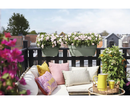 Balkonkästen in Salbeigrün mit hellrosa Blumen an einem schwarzen Geländer über einem hellen Sofa mit bunten Kissen.