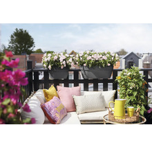 Gemütlich gestalteter Balkon mit Loungesofa, bunten Kissen und schwarzen Geländer-Blumenkästen mit hellrosa Blüten.