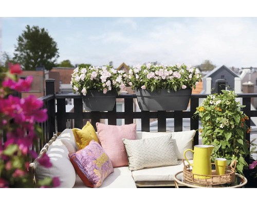Gemütlich gestalteter Balkon mit Loungesofa, bunten Kissen und schwarzen Geländer-Blumenkästen mit hellrosa Blüten.
