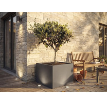 Großer quadratischer Pflanzkübel mit Olivenbaum auf einer hellen Terrasse mit Steinwand, Holzbank und Bodenstrahlern.