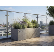 Rechteckiger Pflanzkübel in Betonoptik auf einer Dachterrasse mit Holzdielen und Glasgeländer, bepflanzt mit Lavendel und Gräsern.