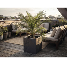 Moderner quadratischer Pflanzkübel mit Palme auf einer hellen Dachterrasse mit Holzmöbeln und Blick auf die Stadt.