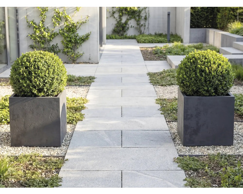 Moderner Garten mit einem hellgrauen Plattenweg, gesäumt von zwei quadratischen Pflanzgefäßen mit runden Buchsbaumkugeln auf hellem Kies.