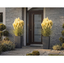 Zwei hohe Pflanzkübel in Korboptik mit dekorativem Pampasgras vor einer modernen Haustür mit Steinfassade.