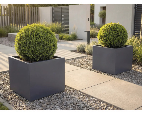 Zwei quadratische dunkelgraue Pflanzkübel mit kugelförmigen grünen Sträuchern auf einem modernen Gartenweg mit Betonplatten und grauem Kies.