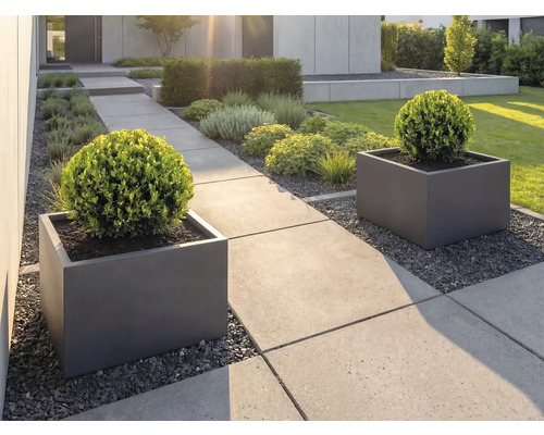 Moderner Garten mit großformatigen Betonplatten, quadratischen Pflanzkübeln in Anthrazit und kugelförmig geschnittenen Buchsbäumen.