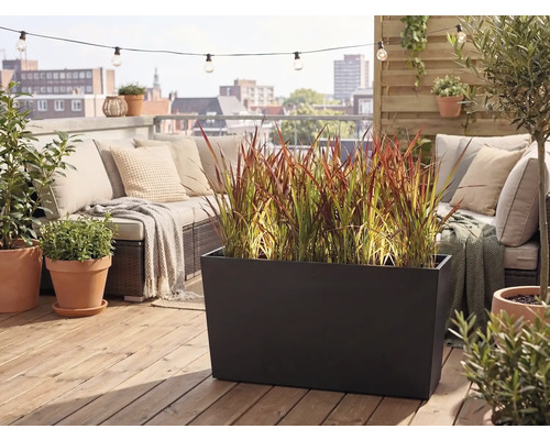 Moderne Dachterrasse mit großem schwarzen Pflanzkasten mit Ziergras, Loungemöbeln mit Kissen und Terrakottatöpfen auf einem Holzdeck.